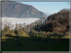 foto Colline Marosticane nella Nebbia